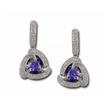 14KW Tanzanite & Diamond Reflections Earrings : E15DTJ2WI