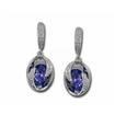 14KW Tanzanite/Diamond Reflections Earrings : E46DZAJ2WI