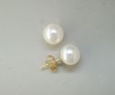 Sterling Silver Freshwater Pearl White 6-6.5mm Earrings : E602ESP2S
