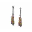 14KW Sm Rainbow Sapphire Brio Clstr Earrings : E53SBCRBSPWI