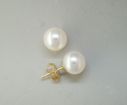 14KW Freshwater Pearl White 6mm Stud Earrings : E60XESP1W