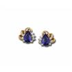 Tanzanite 14K Gold Earrings : E64DESJ2C