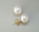 14K Freshwater Pearl White 7mm Stud Earrings : E70XESP1K