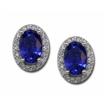 14KW Tanzanite/Diamond Earrings : ECC002J20WI