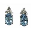 14KW Aquamarine/Diamond Earrings : EPF015Q23WI