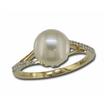 14KW Freshwater Pearl/Diamond Ring : RPC036P23WI