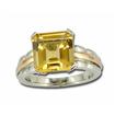 SS/14KY Rose Gold Garnet Ring : RSF039G2XYI