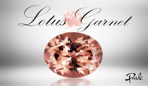 Discover Lotus Garnet