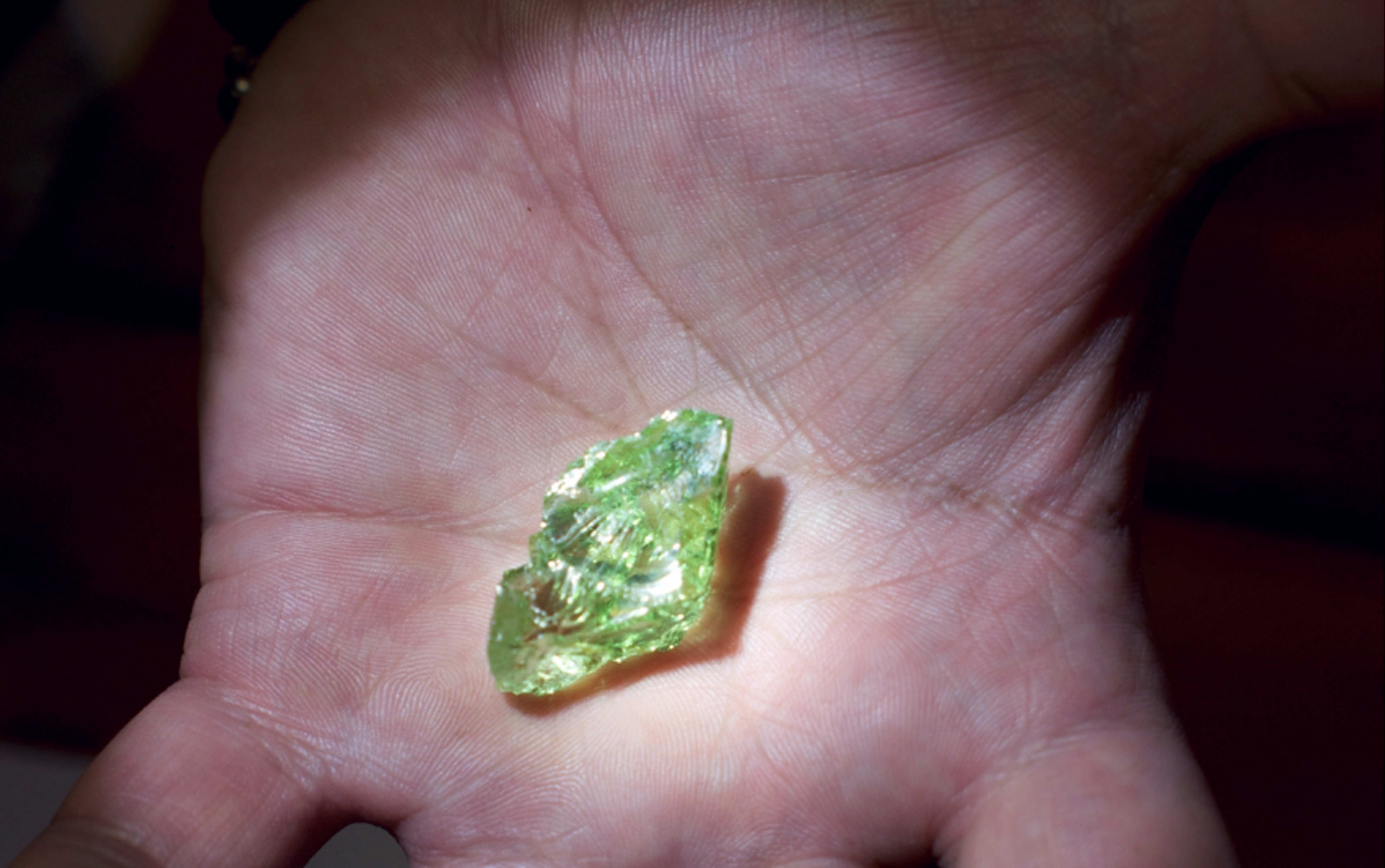 One of our Mint Garnets in the hands of the Director of the film, Orin Mazzoni III.