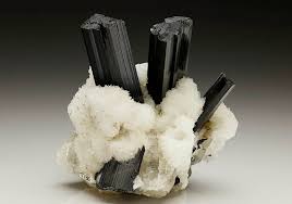 Black schorl tourmaline crystals standing in a bed of white matrix