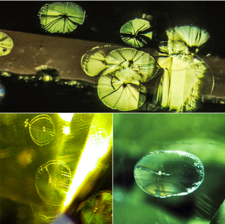 Microscope views of lily pad inclusions inside peridot, the disc-shaped fractures that identify the stone